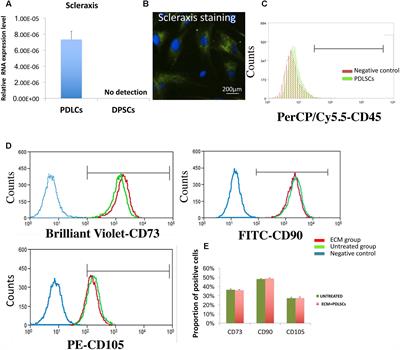 Extracellular Matrix Membrane Induces Cementoblastic/Osteogenic Properties of Human Periodontal Ligament Stem Cells